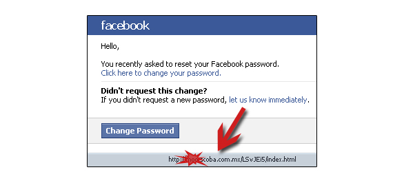 phishing-facebook-password